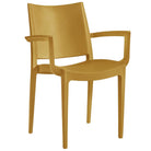 Polypropylene Arm Chair Coloured Outdoor Commercial Furniture